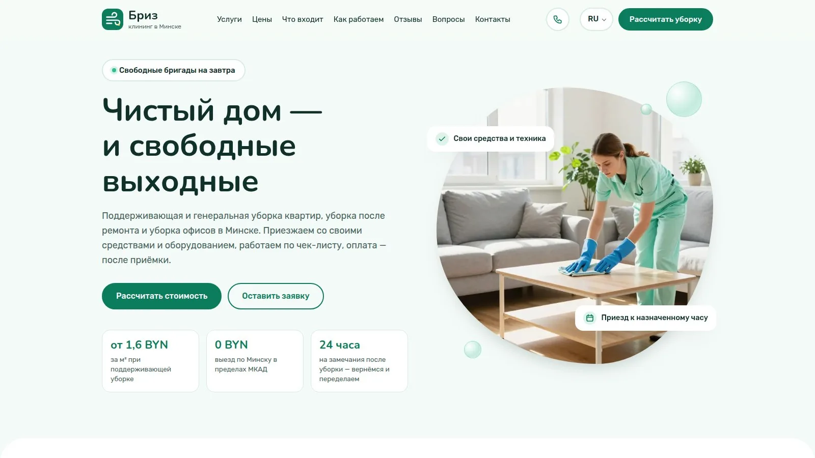 Briz theme — home page